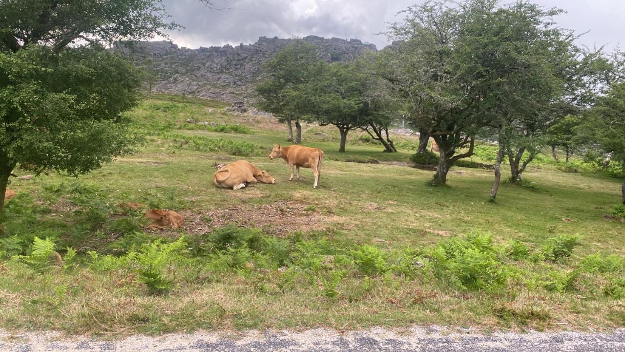 Geres River - Apartamento Na Natureza Luaran gambar